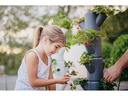 Gusta Garden Aufzuchttöpfe SISSI STRAWBERRY Classic, Anthrazit