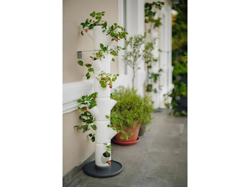 Gusta Garden Aufzuchttöpfe SISSI STRAWBERRY Classic, Weiss