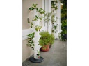 Gusta Garden Aufzuchttöpfe SISSI STRAWBERRY Classic, Weiss