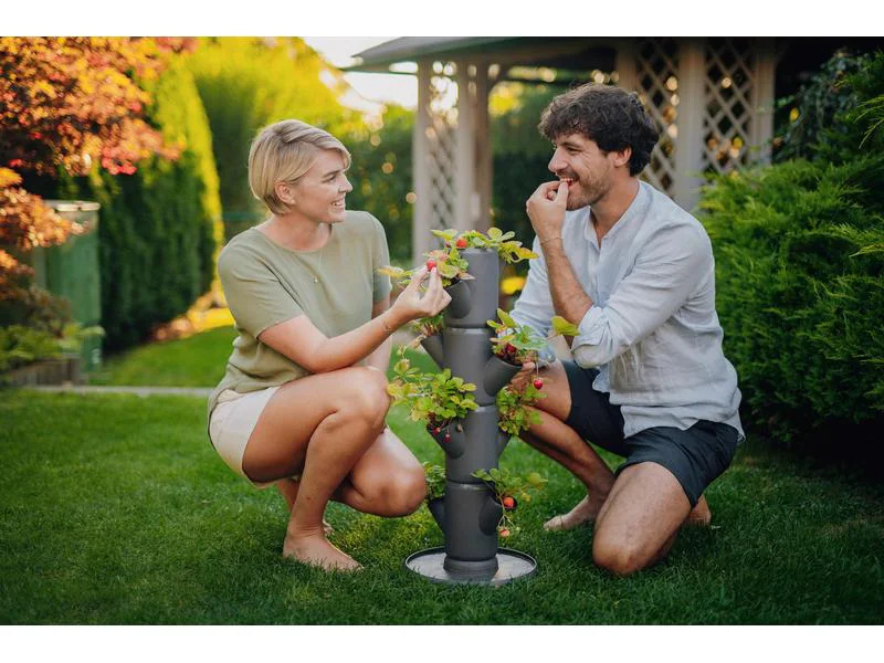 Gusta Garden Aufzuchttöpfe SISSI STRAWBERRY Starterset, Anthrazit