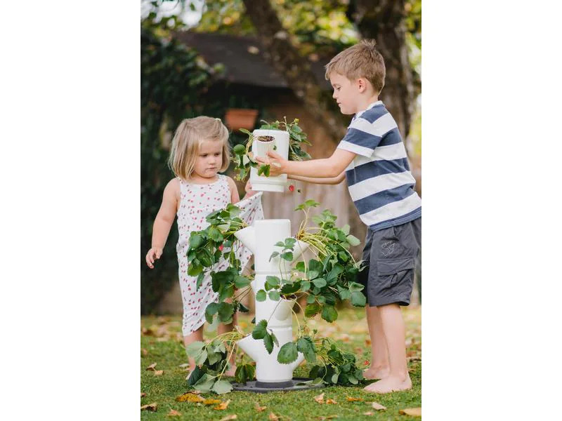 Gusta Garden Aufzuchttöpfe SISSI STRAWBERRY Starterset, Weiss