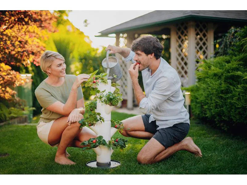Gusta Garden Aufzuchttöpfe SISSI STRAWBERRY Starterset, Weiss
