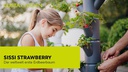 Gusta Garden Aufzuchttöpfe SISSI STRAWBERRY Starterset, Weiss