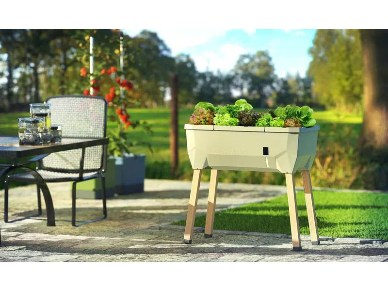 Gusta Garden Hochbeet SAMMY SALAD Starterset, Anthrazit