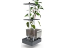 Gusta Garden Pflanzentopf CHARLY CHILI Starterset, 3-Teilig, Blaugrau
