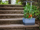 Gusta Garden Pflanzentopf CHARLY CHILI Starterset, 3-Teilig, Blaugrau