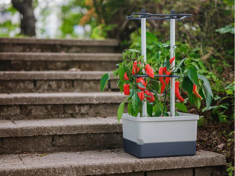 Gusta Garden Pflanzentopf CHARLY CHILI Starterset, 3-Teilig, Hellgrau