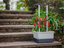 Gusta Garden Pflanzentopf CHARLY CHILI Starterset, 3-Teilig, Hellgrau