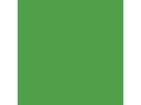Amsterdam Acrylfarbe Standard Series Brillantgrün Halbdeckend, 120 ml