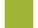 Amsterdam Acrylfarbe Standard Series Gelbgrün Halbdeckend, 120 ml