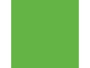 Amsterdam Acrylfarbe Standard Series Reflexgrün Halbtransp, 120 ml