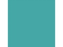 Amsterdam Acrylfarbe Standard Series Türkisgrün Deckend, 120 ml