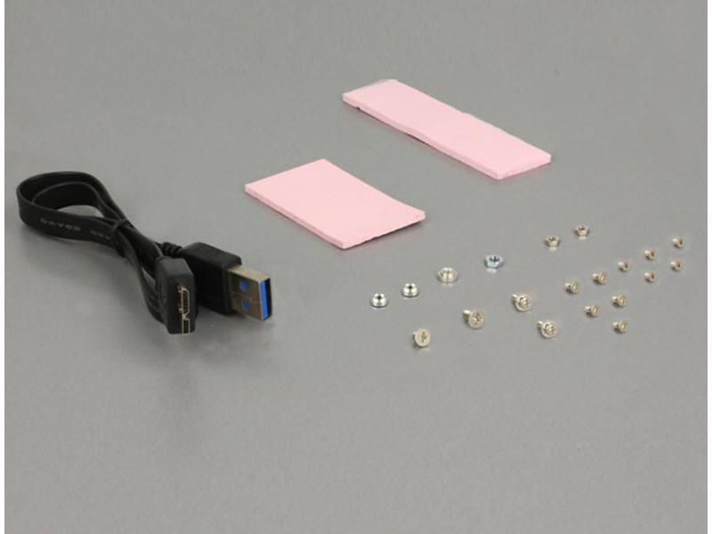Delock 2.5-Einbaurahmen USB 3.1 für M.2/mSATA-Module