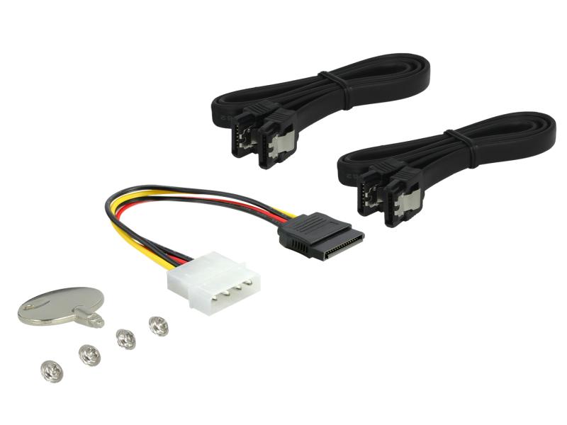 Delock 5.25-Einbaurahmen 1x3.5, 1x2.5, 2xUSB3 Ports , Hot-Swap