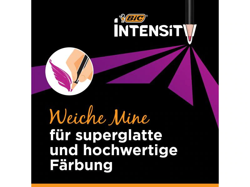 BIC Farbstifte Intensity Premium 36 Stück