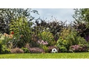 Bosch Akku-Gartenpumpe GardenPump 18V-2000 Kit, 2.5 Ah