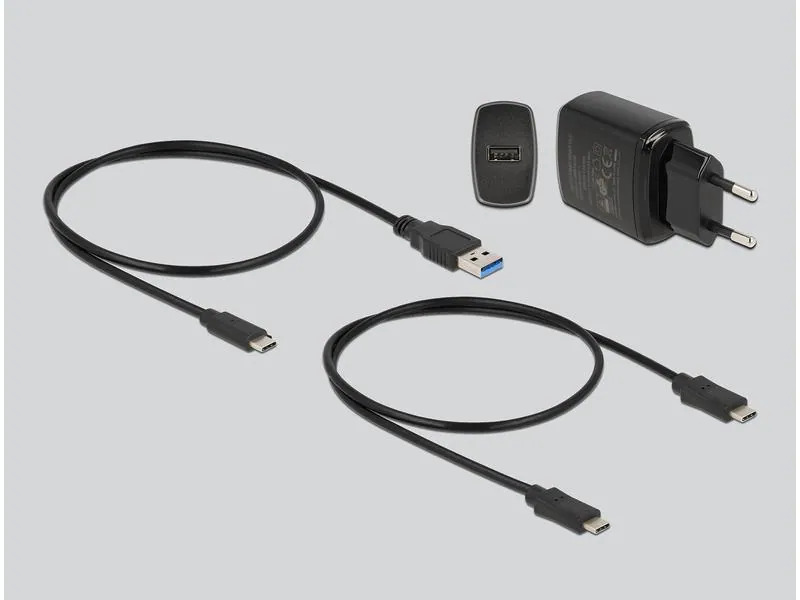 Delock Docking- und Klonstation für 2x M.2 NVMe