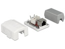 Delock Gehäuse RJ45 Cat.6A LSA 1-fach