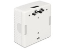 Delock Gehäuse RJ45 Cat.6A LSA 2-fach
