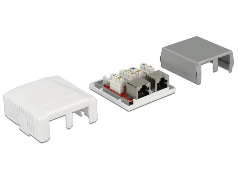 Delock Gehäuse RJ45 Cat.6A LSA 2-fach