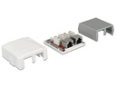 Delock Gehäuse RJ45 Cat.6A LSA 2-fach