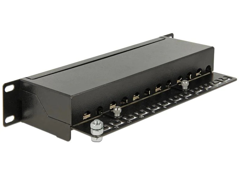 Delock Netzwerkpanel 12 Port 10 Cat.6 LSA Schwarz