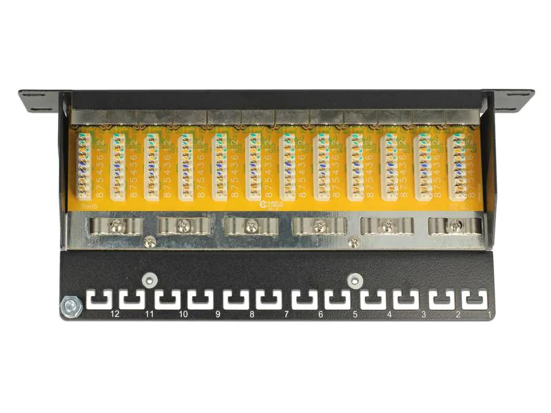 Delock Netzwerkpanel 12 Port 10 Cat.6 LSA Schwarz