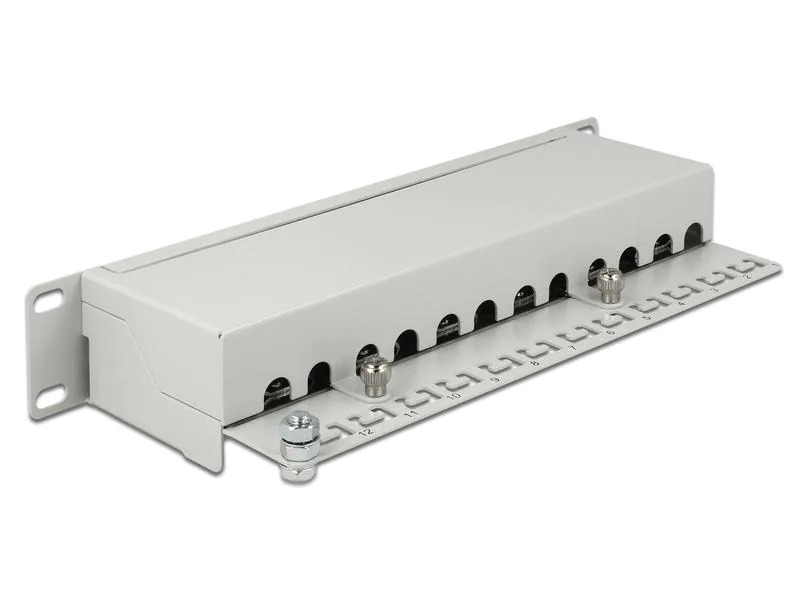 Delock Netzwerkpanel 12 Port 10 Cat.6A LSA Grau