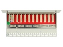 Delock Netzwerkpanel 12 Port 10 Cat.6A LSA Grau