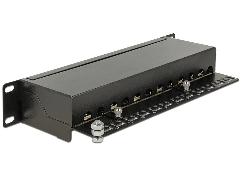 Delock Netzwerkpanel 12 Port 10 Cat.6A LSA Schwarz