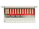 Delock Netzwerkpanel 12 Port 10 Cat.6A LSA Schwarz