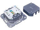 Wirewin Datendose RJ-45 Cat.6 2-fach