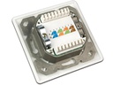 Wirewin Datendose RJ-45 Cat.6 2-fach