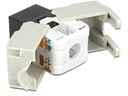 Delock Keystone-Modul RJ-45 Cat.6, UTP Schwarz