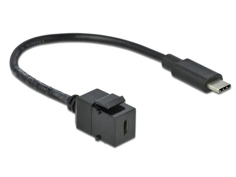 Delock Keystone-Modul USB3.0 USB-C  - USB-C, 25cm Schwarz