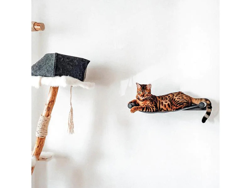 CanadianCat Katzenbett Filz-Hängematte mit Wandmontage Anthrazit