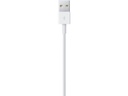 Apple USB 2.0-Kabel USB A - Lightning 0.5 m