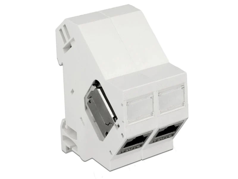Delock Hutschienenhalter Keystone 180° gedreht