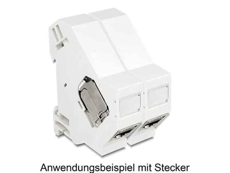 Delock Hutschienenhalter Keystone mit Erdung