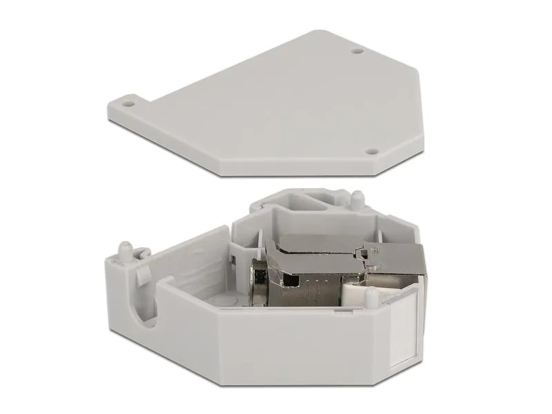 Delock Hutschienenhalter mit Keystone Modul RJ45 Buchse Cat.6A LSA