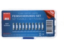 Max Hauri Schmelzsicherung Set 5 x 20 mm Flink, 100 Stück