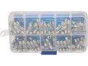 Max Hauri Schmelzsicherung Set 5 x 20 mm Träge, 100 Stück