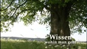 Faber-Castell Radiergummi Grip2001 1 Stück