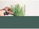 Herstera Hochbeet Urban Garden Standard, 100 x 40 x 84 cm, Oak Green