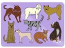 URSUS Schablone Tiere 6er Set