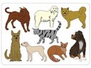 URSUS Schablone Tiere 6er Set