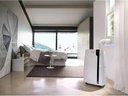 De'Longhi Klimagerät Pinguino PAC EX 100 Silent 110 m³