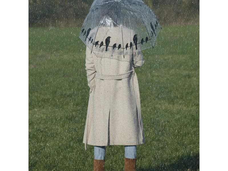 Esschert Design Schirm Vögel auf Draht Schwarz/Transparent