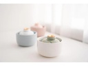 Bluefeel by Samsung Mini-Luftbefeuchter Floatle Weiss