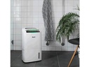 Wood's Entfeuchter AD20 100 m²